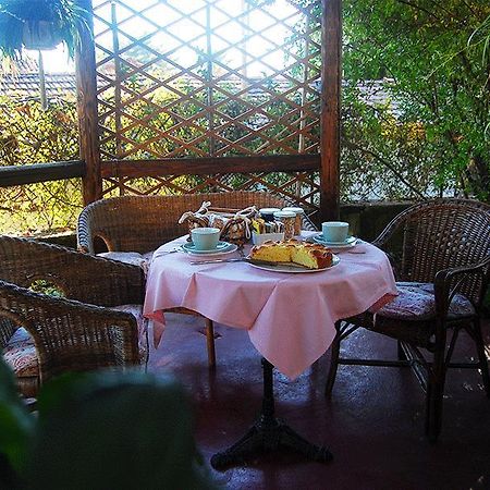 Le Camelie Bed & Breakfast Brissago-Valtravaglia Dış mekan fotoğraf