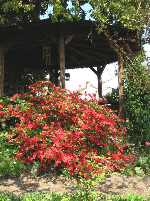 Le Camelie Bed & Breakfast Brissago-Valtravaglia Dış mekan fotoğraf