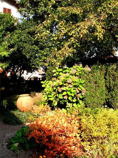 Le Camelie Bed & Breakfast Brissago-Valtravaglia Dış mekan fotoğraf